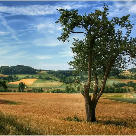 Lejlighed Ferienwohnung Moerlenbach