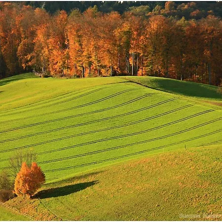 Ferienwohnung Moerlenbach *