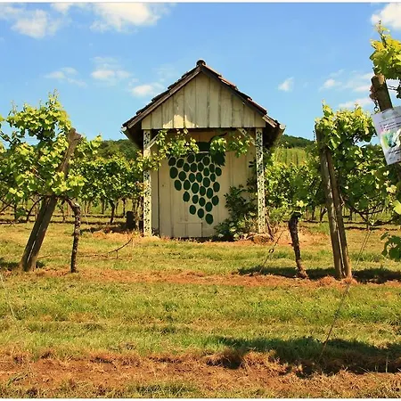 Ferienwohnung Moerlenbach Lejlighed Mörlenbach