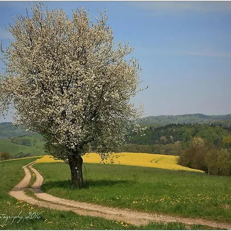 Ferienwohnung Moerlenbach