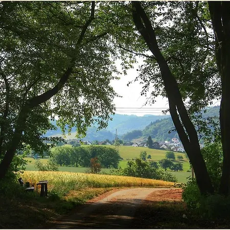 Ferienwohnung Moerlenbach Lejlighed Mörlenbach