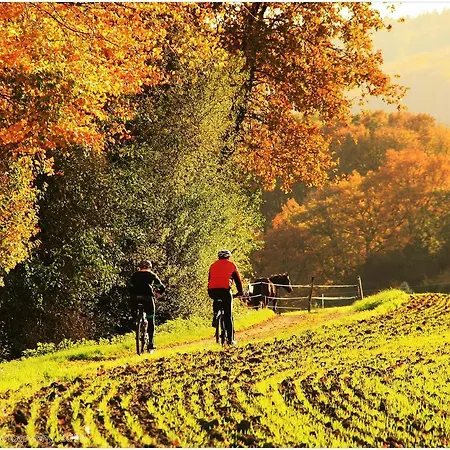 Ferienwohnung Moerlenbach