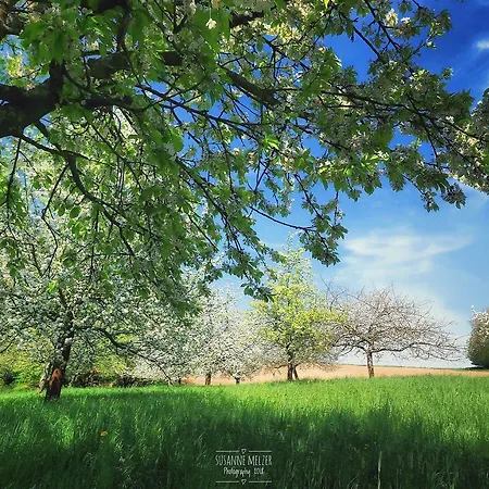 Ferienwohnung Moerlenbach Lejlighed