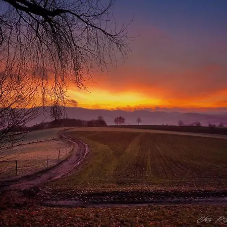 Ferienwohnung Moerlenbach Lejlighed