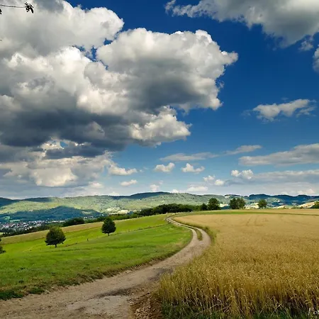Ferienwohnung Moerlenbach Lejlighed